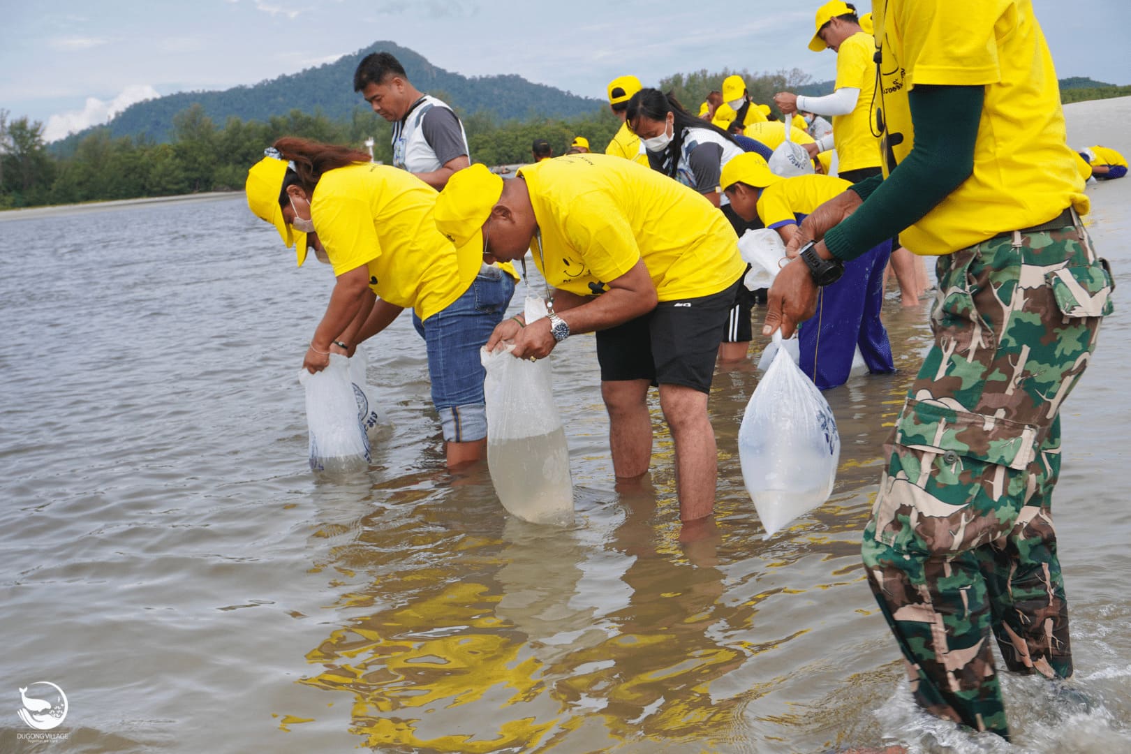 Seagrass Restoration Dugong Village